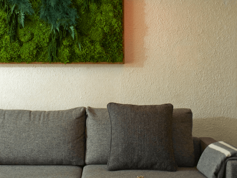 Grey couch with a moss wall