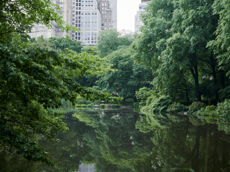 Central Park Buildings
