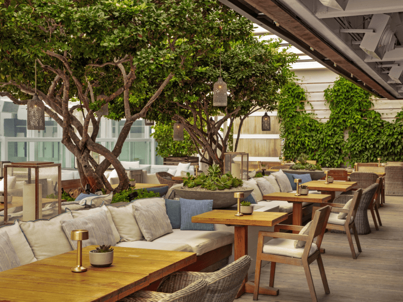 Outdoor dining area covered with trees