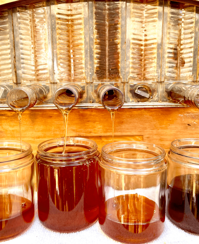 Four jars getting honey poured in