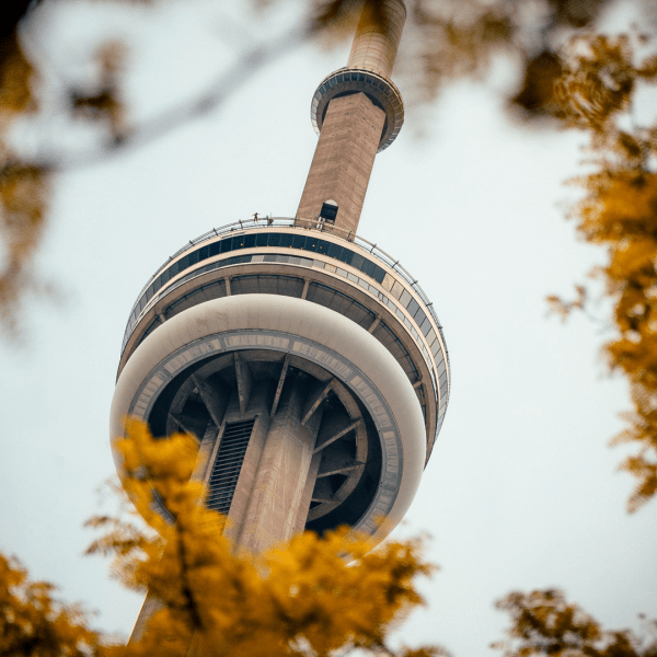 View from beneath CN tower with fall foliage