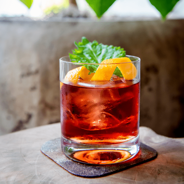 negroni, gin