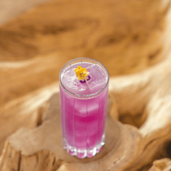 Purple cocktail for pride month