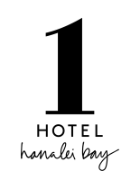 1Hotels Logo Hanalei Bay